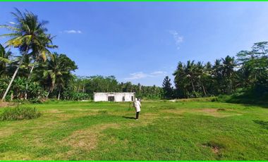 8 menit Sat Briop Sentolo, Tanah Nanggulan Yogyakarta