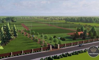 Sitio en Venta en Loteo 3 Reinas : K-581, San Clemente, Maule