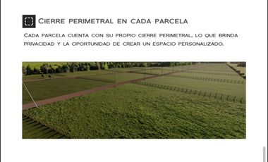 Sitio en Venta en Loteo 3 Reinas : K-581, San Clemente, Maule