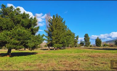 Parcela en venta en SANTA JUANA