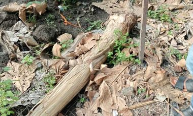 tanah murah tengah kota solo dekat graha saba dan manahan