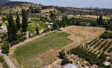 Terreno en venta Quillon