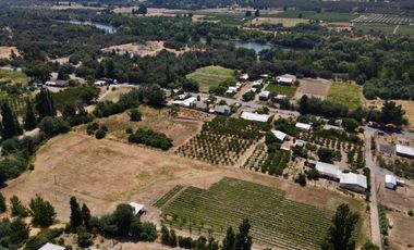 Terreno en venta Quillon