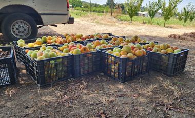 Terreno en venta Quillon