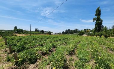 Terreno en venta Quillon