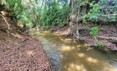 Terreno en venta Quillon