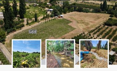 Terreno en venta Quillon