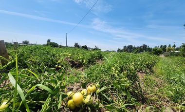 Terreno en venta Quillon