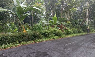 Tanah SHM di Argomulyo Salatiga dekat Jl Lingkar, RS Puri Asri,RS Paru