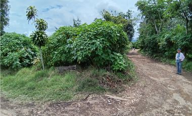Vendo hermoso Lote con hermosa vista Palmira Boquete #5