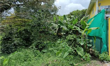 Vendo hermoso Lote con hermosa vista Palmira Boquete #5