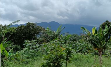 Vendo hermoso Lote con hermosa vista Palmira Boquete #5