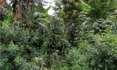 Vendo hermoso Lote con hermosa vista Palmira Boquete #5