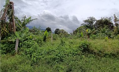 Vendo hermoso Lote con hermosa vista Palmira Boquete #5