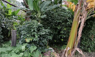 Vendo hermoso Lote con hermosa vista Palmira Boquete #5