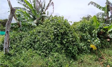 Vendo hermoso Lote con hermosa vista Palmira Boquete #5