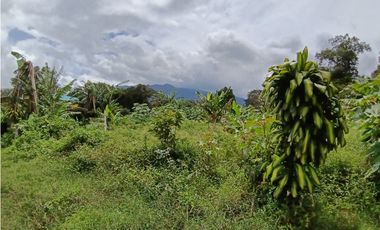 Vendo hermoso Lote con hermosa vista Palmira Boquete #5