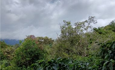 Vendo Finca con hermosa vista en Palmira Boquete #6