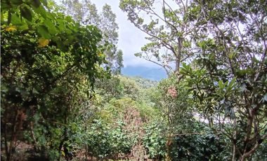 Vendo Finca con hermosa vista en Palmira Boquete #6