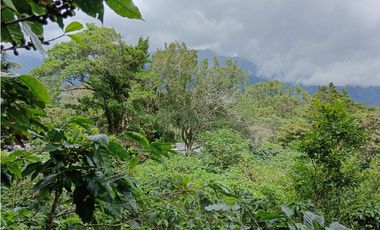 Vendo Finca con hermosa vista en Palmira Boquete #6
