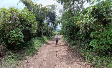 Vendo Finca con hermosa vista en Palmira Boquete #6