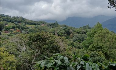 Vendo Finca con hermosa vista en Palmira Boquete #6