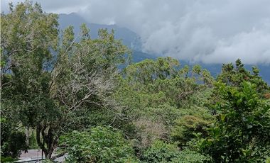 Vendo Finca con hermosa vista en Palmira Boquete #6