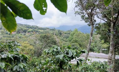 Vendo Finca con hermosa vista en Palmira Boquete #6