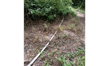 Vendo Finca con hermosa vista en Palmira Boquete #6