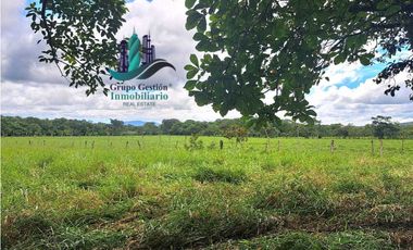 VENDO FINCA DD 5HECTAREAS PLANAS