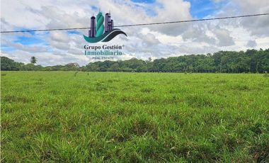 VENDO FINCA DD 5HECTAREAS PLANAS