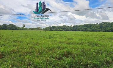 VENDO FINCA DD 5HECTAREAS PLANAS