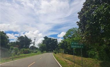 VENDO FINCA DD 5HECTAREAS PLANAS