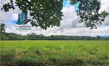 VENDO FINCA DD 5HECTAREAS PLANAS