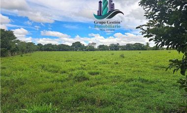 VENDO FINCA DD 5HECTAREAS PLANAS