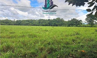 VENDO FINCA DD 5HECTAREAS PLANAS