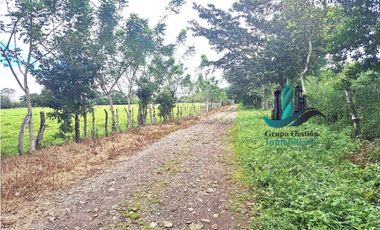 VENDO FINCA DD 5HECTAREAS PLANAS