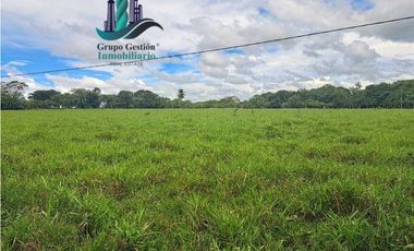 VENDO FINCA DD 5HECTAREAS PLANAS