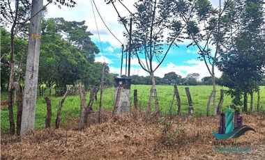 VENDO FINCA DD 5HECTAREAS PLANAS