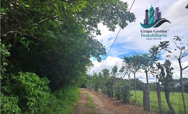 VENDO FINCA DD 5HECTAREAS PLANAS