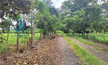 VENDO FINCA DD 5HECTAREAS PLANAS