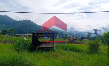 Disewakan Tanah di Jalan Jack D Batu