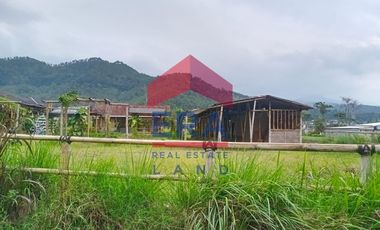 Disewakan Tanah di Jalan Jack D Batu