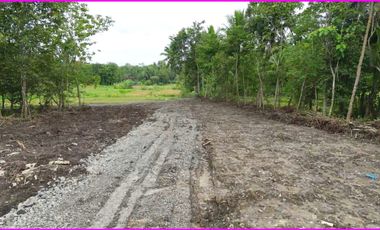 Sentolo, Tanah Jogja Dekat Pasar Nyonyol Untuk Investasi
