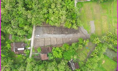 Sentolo, Tanah Jogja Dekat Pasar Nyonyol Untuk Investasi