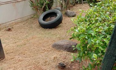 disewakan rumah bagus di sunter