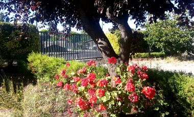 Parcela en venta en CHIGUAYANTE