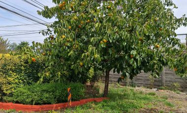 Parcela en venta en CHIGUAYANTE