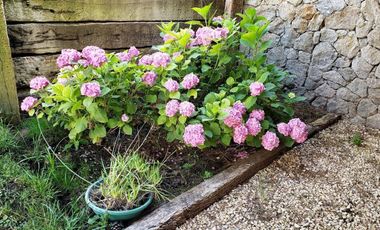 Casa  en Venta ubicado en Costa Esmeralda, Costa Atlántica, Buenos Aires