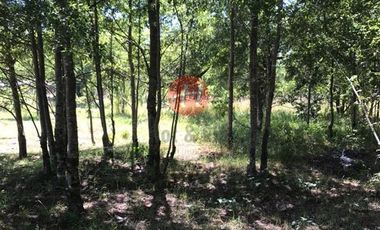 Parcela en Venta en Camino Internacional